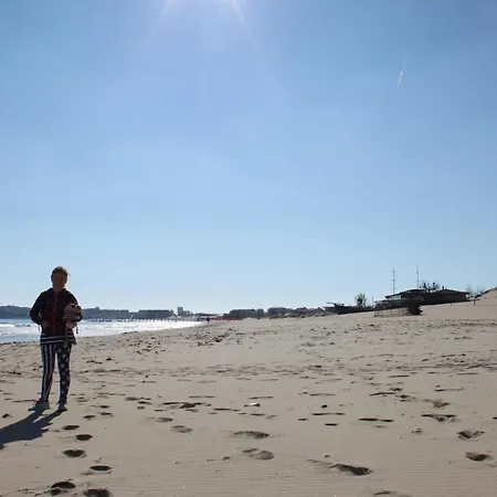 Apartament Abelia Regina Sunny Beach