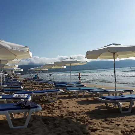 Abelia Regina Sunny Beach