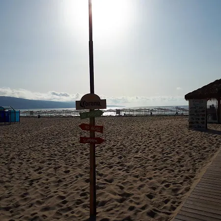 Abelia Regina * Sunny Beach