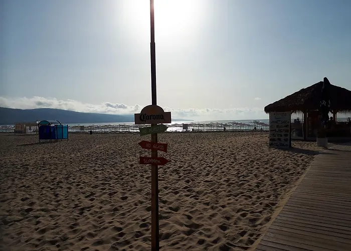 Abelia Regina * Napospart