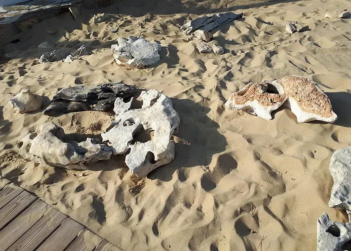 Abelia Regina Apartman