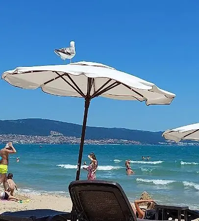 Abelia Regina Appartement Sunny Beach