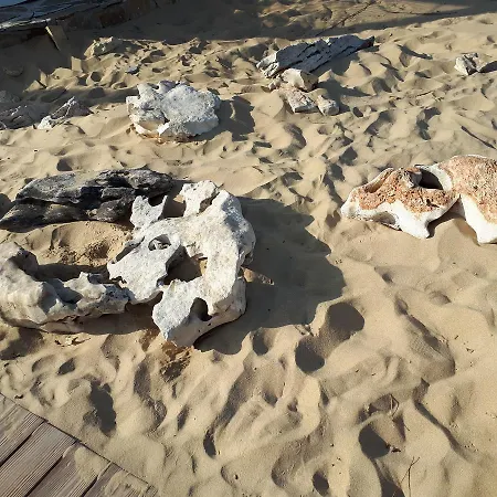 Abelia Regina Appartement