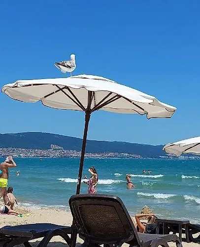 Abelia Regina Appartement Sunny Beach