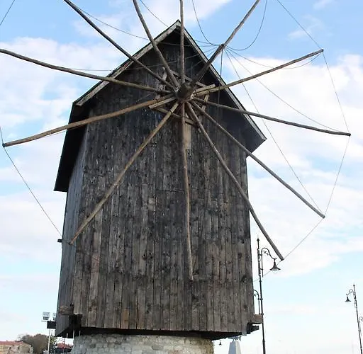 Abelia Regina Sunny Beach